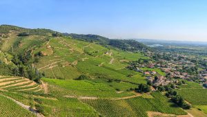 Lees meer over het artikel Week 43 – Top 5 nieuwste wijndomeinen