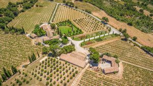 Lees meer over het artikel Week 47 – Top 5 nieuwste wijndomeinen