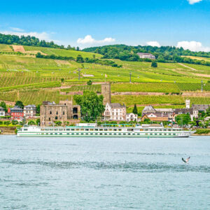 7-daagse wijncruise van Chalon-Sur-Saone naar Martigues, ontdek de Rhone wijnroute al varend naar het zuiden van Frankrijk