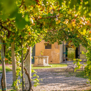 10-daagse autovakantie en wijnreis Venetië en Veneto, Italië