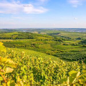 13-daagse autovakantie en wijnreis Oostenrijk, Hongarije en Slovenië