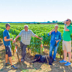 6 dagen wandelen in Frankrijk langs de Bourgogne wijnroute bij Beaune