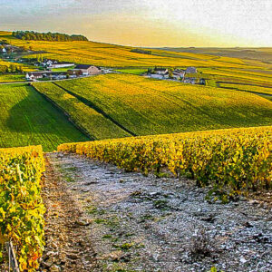 6 dagen wandelen in Frankrijk langs de Bourgogne wijnroute bij Cluny