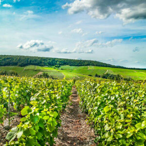 Goedkope 3-daagse autovakantie Champagnewijnstreek Frankrijk voor maar 129 € p.p.