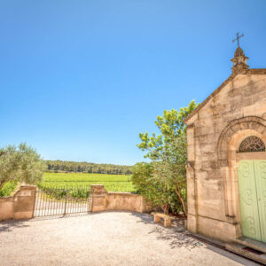 Wijnhuis Mas de Novi