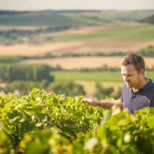 Champagne Xavier Leconte