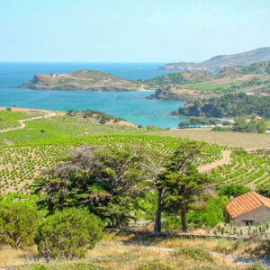 11-daagse Fly&drive autovakantie Frankrijk langs de Corsica wijnroute