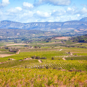 15-daagse autovakantie Frankrijk langs de Corsica wijnroute