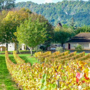 15-daagse autovakantie Frankrijk langs de wijnroute van zuidwest Frankrijk bij Toulouse