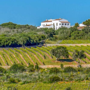 15-daagse autovakantie en wijnreis naar Catalonië, Spanje