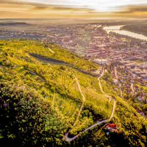 7-daagse wijnreis Wachau, Wagram en Wenen, Oostenrijk