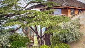 Bijzonder overnachten in de wijngaarden