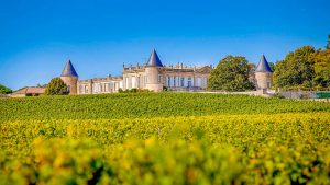 Romantisch wijnkasteel