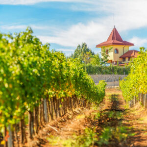 Wijnreis Bulgarije op maat