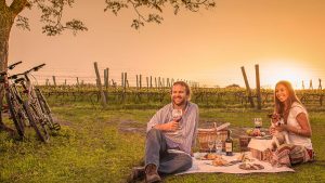 Wijntoerisme : wat is dat eigenlijk ?