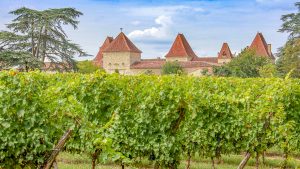 Authentieke wijnreis