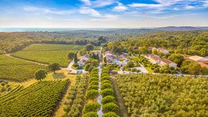 Idyllisch overnachten is bijzonder overnachten