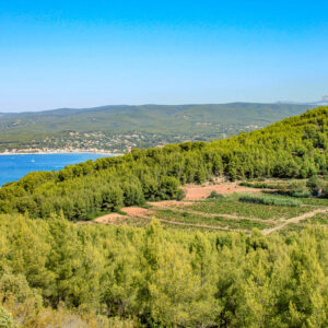 Wijncoöperatie La Roque