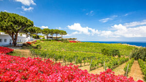 Romantische Valentijnsdag Wijnhotel