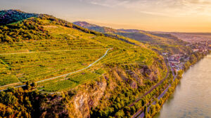 Top 5 Wijnreis en autovakantie combi's zomer 2021