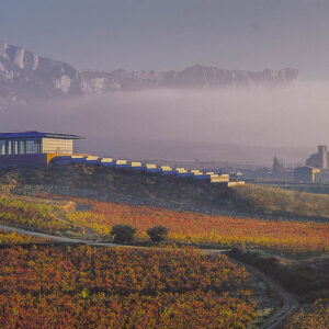 5-daagse wijnreis Rioja, Spanje