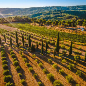 3 dagen / 2 nachten wijnreis, ontdek de Corbières wijnstreek te fiets tussen Carcassonne en Narbonne