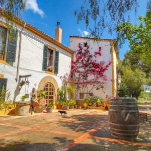 7-daagse wijnreis Mallorca met zeilen of catamaran