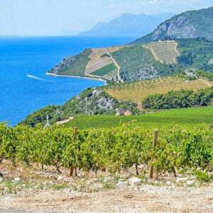 3-daagse luxe wijnreis Dubrovnik met culinaire inslag, Kroatië