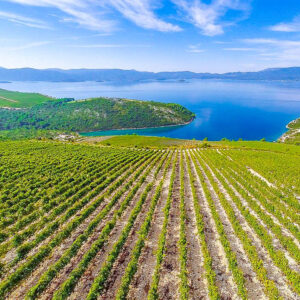 3-daagse wijnreis Dubrovnik met culinaire inslag, Kroatië