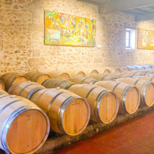 3 daagse wijnexperience en fietsen Sauternes wijnstreek, Frankrijk