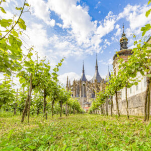 11-daagse ontspannende wijnreis naar Tsjechië en Slowakije