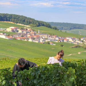 Originele incentive – 3 dagen Champagne wijnstreek, Frankrijk