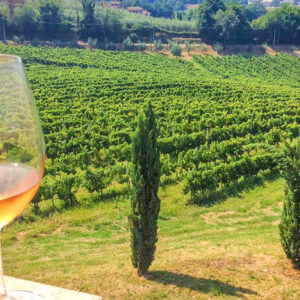 Wijnreis en citytrip Rome, Italië