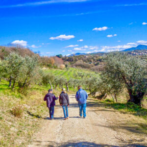 Wijnreis Lazio en city break Rome met wijnproeverij, olijfolie en kookles