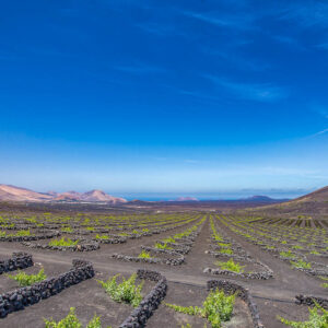 5-daagse ontspannende wijnreis Lanzarote met strandverblijf in een Adult Only hotel