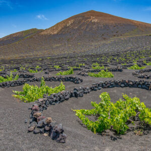 5-daagse ontspannende wijnreis Lanzarote met strandverblijf in een Adult Only hotel