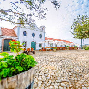 Quinta de Monte d’Oiro – wijnregio Lissabon, Portugal