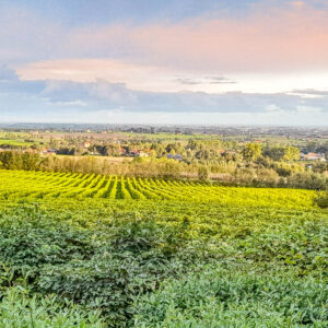 3-daagse wijnreis België