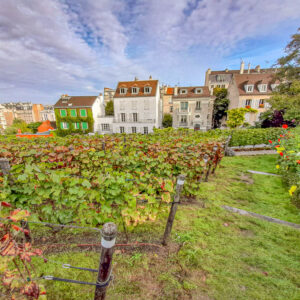 Wijnreis Parijs met cadeaubon