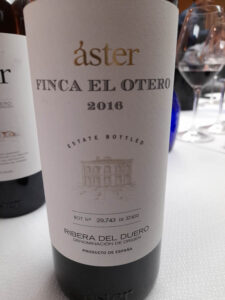 Bodegas Aster -Finca El Otero 2016 - voor