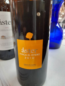 Bodegas Aster -Finca El Otero 2010 - voor