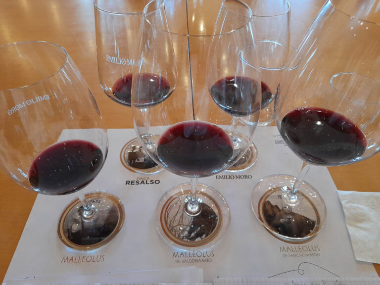 Bodegas Emilio Moro - wijnreis Ribeira del Duero Spanje-wijn fiche