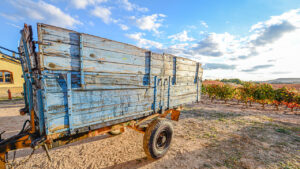 Pers wijnreis Ribeira del Duero Bodegas Aster-16-9