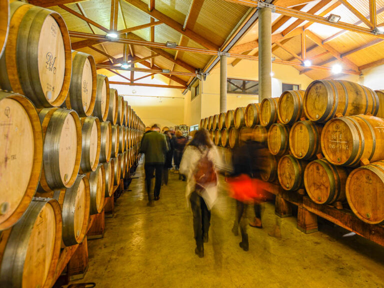 Bodegas Aster - wijnreis Ribeira del Duero