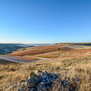 5-daagse wijnreis en golf Ribeira del Duero