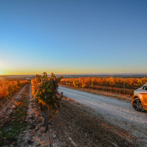 5-daagse wijnreis en golf Ribeira del Duero