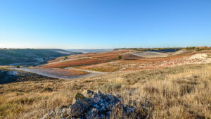 Pers wijnreis Ribeira del Duero 2021-16-9