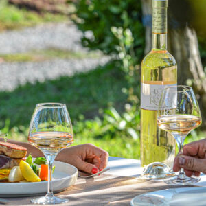 Wijnreis Provence : Hotel Bastide du Clos des Roses