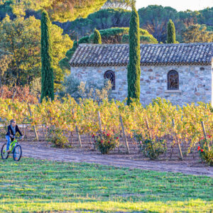 Wijnreis Provence : Hotel Bastide du Clos des Roses