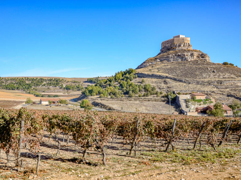 pers wijnreis Ribeira del Duero 2021 - Landschap